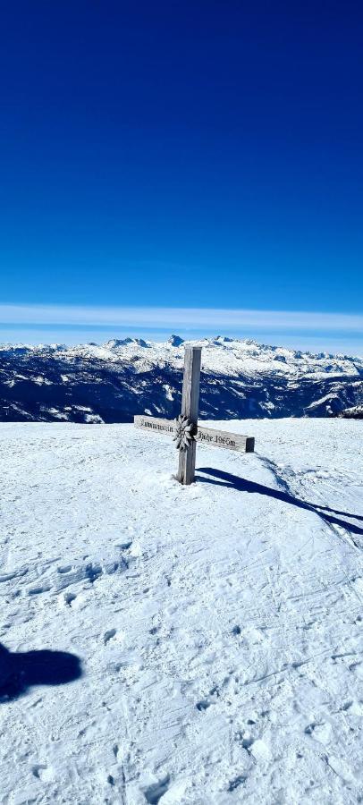Ferienwohnungen Bergpanorama Bad Mitterndorf Eksteriør billede