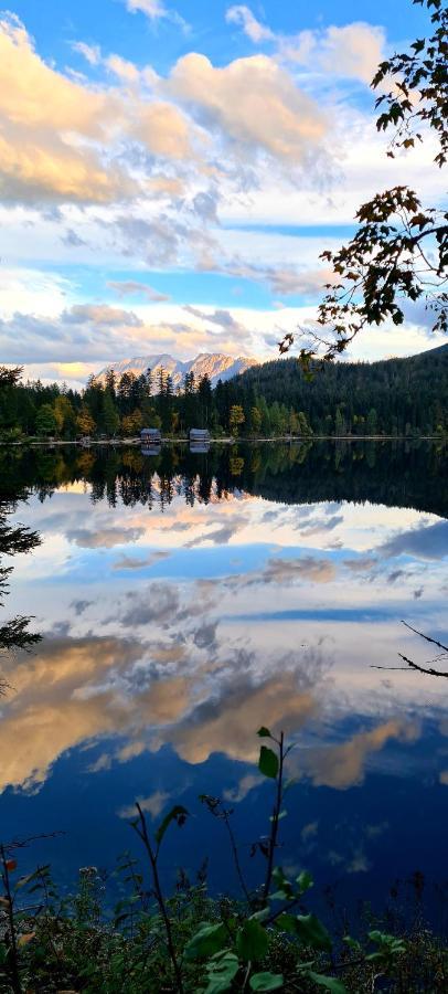 Ferienwohnungen Bergpanorama Bad Mitterndorf Eksteriør billede