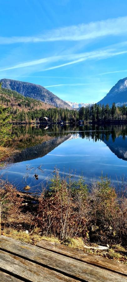 Ferienwohnungen Bergpanorama Bad Mitterndorf Eksteriør billede